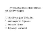 Ląstelinis kvėpavimas (klausimynas) 2 puslapis