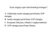 Ląstelinis kvėpavimas (klausimynas) 20 puslapis