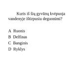 Ląstelinis kvėpavimas (klausimynas) 8 puslapis