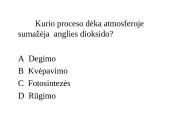 Ląstelinis kvėpavimas (klausimynas) 10 puslapis
