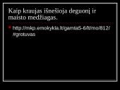 Kraują varinėja širdis 11 puslapis