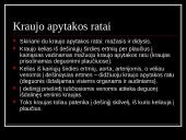 Kraują varinėja širdis 12 puslapis