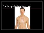 Kraują varinėja širdis 5 puslapis