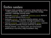 Kraują varinėja širdis 6 puslapis