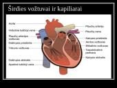 Kraują varinėja širdis 9 puslapis