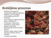 Kraujotaka ir širdis 12 puslapis
