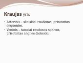 Kraujotaka ir širdis 13 puslapis