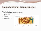 Kraujotaka ir širdis 19 puslapis