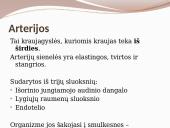 Kraujotaka ir širdis 20 puslapis