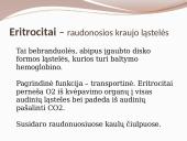 Kraujotaka ir širdis 6 puslapis