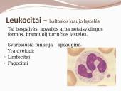 Kraujotaka ir širdis 8 puslapis