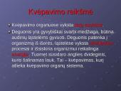 Kvėpavimo reikšmė ir sistema 2 puslapis