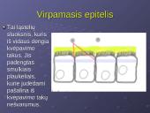 Kvėpavimo reikšmė ir sistema 14 puslapis
