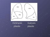 Kvėpavimo reikšmė ir sistema 16 puslapis