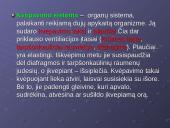 Kvėpavimo reikšmė ir sistema 3 puslapis