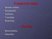 Kvėpavimo reikšmė ir sistema 4 puslapis