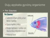 Kvėpavimo sistemas (organų funkcijos) 11 puslapis