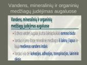 Kvėpavimo sistemas (organų funkcijos) 13 puslapis