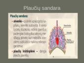 Kvėpavimo sistemas (organų funkcijos) 4 puslapis