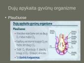 Kvėpavimo sistemas (organų funkcijos) 7 puslapis