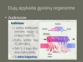 Kvėpavimo sistemas (organų funkcijos) 8 puslapis