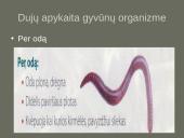 Kvėpavimo sistemas (organų funkcijos) 9 puslapis