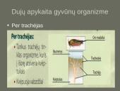 Kvėpavimo sistemas (organų funkcijos) 10 puslapis