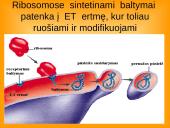 Ląstelės teorija 9 puslapis