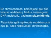 Išsamiai apie ląsteles 12 puslapis