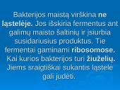 Išsamiai apie ląsteles 15 puslapis