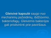 Išsamiai apie ląsteles 16 puslapis