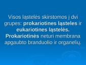 Išsamiai apie ląsteles 4 puslapis