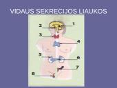 Organizmo liaukos 2 puslapis