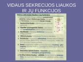 Organizmo liaukos 3 puslapis