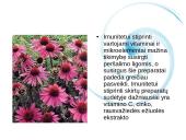 Vitaminai ir jų nauda 19 puslapis