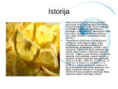 Vitaminai ir jų nauda 3 puslapis