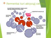 Fermentų panaudojimas maisto ir kitose Lietuvos pramonės šakose 12 puslapis