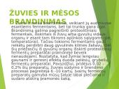 Fermentų panaudojimas maisto ir kitose Lietuvos pramonės šakose 20 puslapis