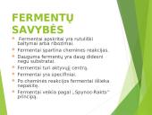 Fermentų panaudojimas maisto ir kitose Lietuvos pramonės šakose 8 puslapis