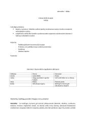 Nervai (teorija) 11 puslapis