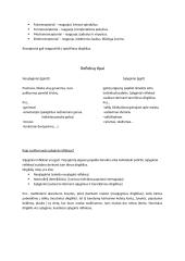 Nervai (teorija) 8 puslapis