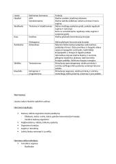 Nervai (teorija) 9 puslapis