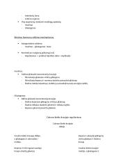 Nervai (teorija) 10 puslapis