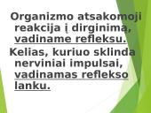 Žmogaus nervų sistema 15 puslapis