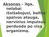 Žmogaus nervų sistema 4 puslapis