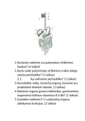 Virškinimas žmogaus organizme 13 puslapis