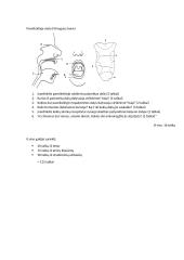 Virškinimas žmogaus organizme 16 puslapis