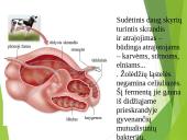 Virškinimo procesas 12 puslapis