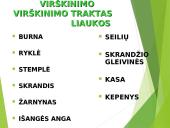 Virškinimo procesas 15 puslapis