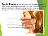 Virškinimo procesas 17 puslapis